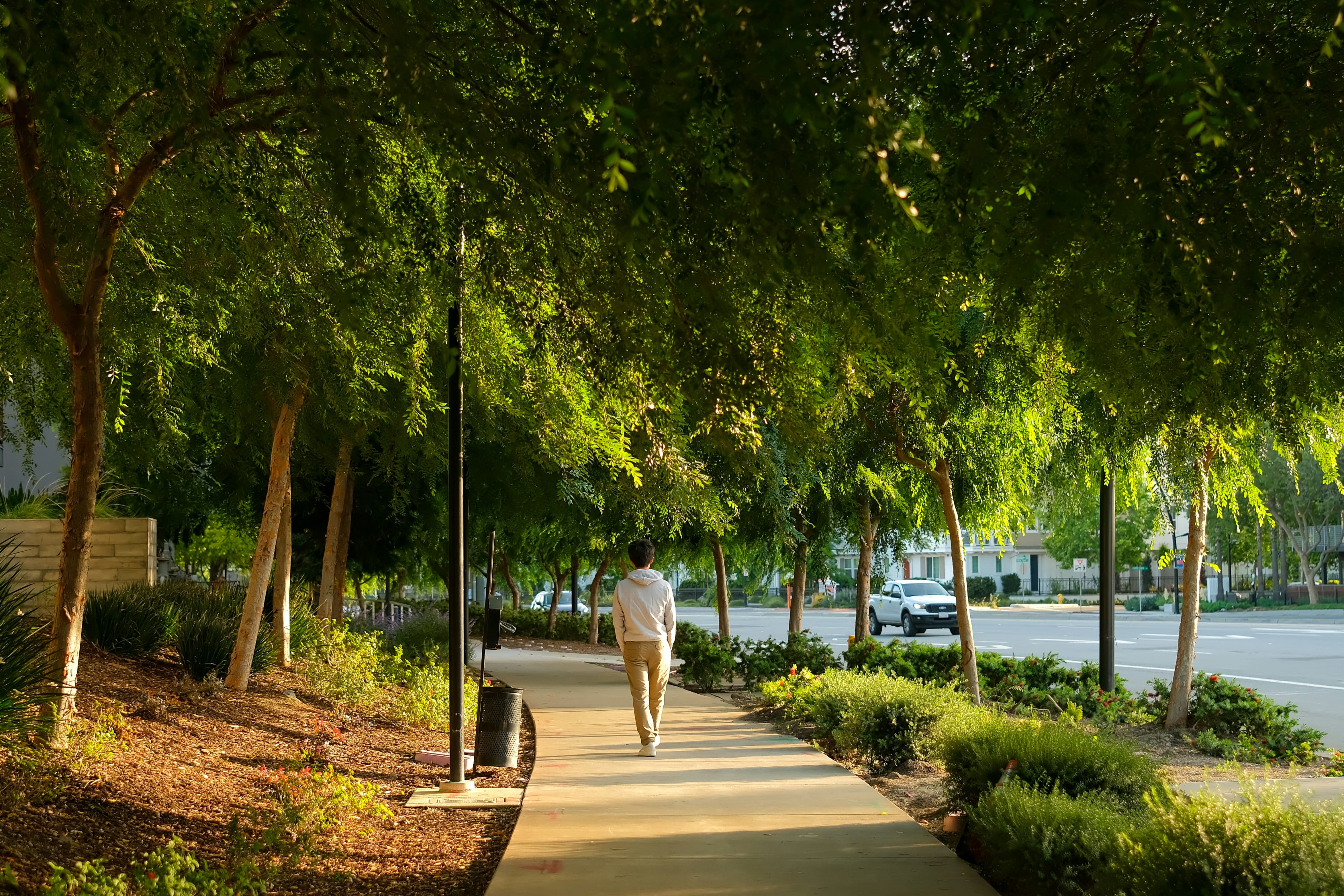 Back view of a person in a light hoodie and tan trousers walking on a tree-lined sidewalk with dappled sunlight and a road alongside